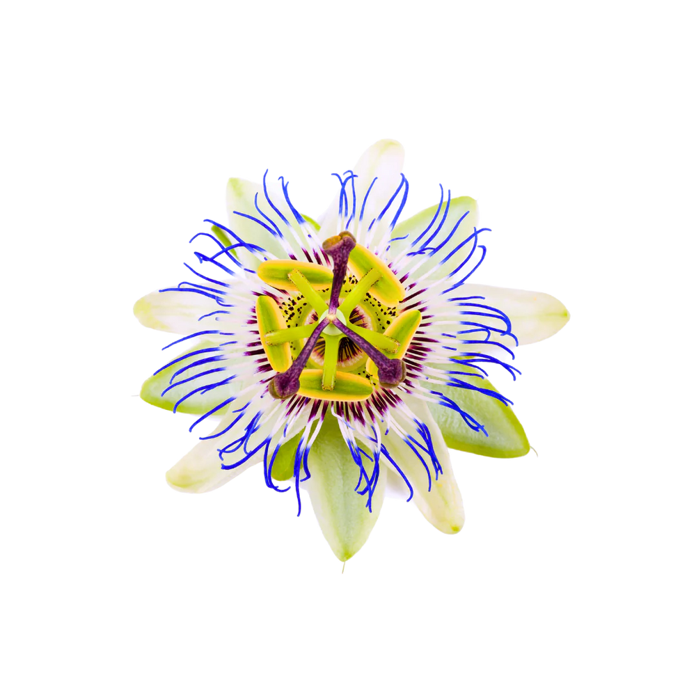 Passionflower_Extract