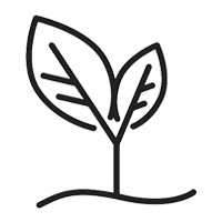 Plant_Powered_5d086b22-f96f-4116-b2df-aecd61815ad2