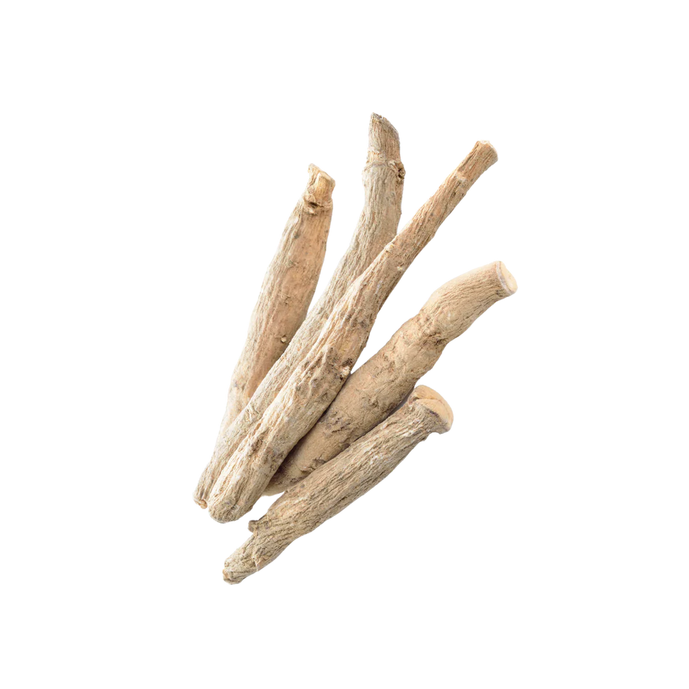 Ashwagandha_9cf00570-6d7a-49b6-b6d2-83b7478fefbb