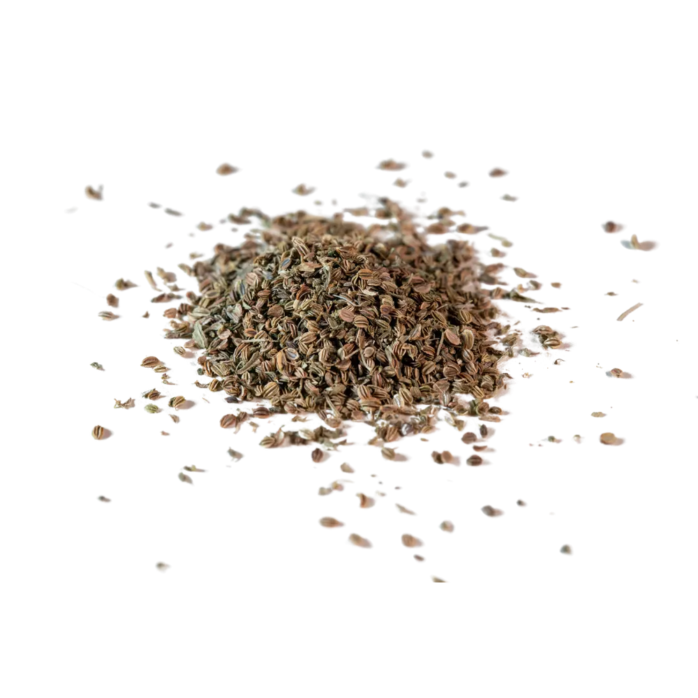Bacopa_Monnieri_Extract