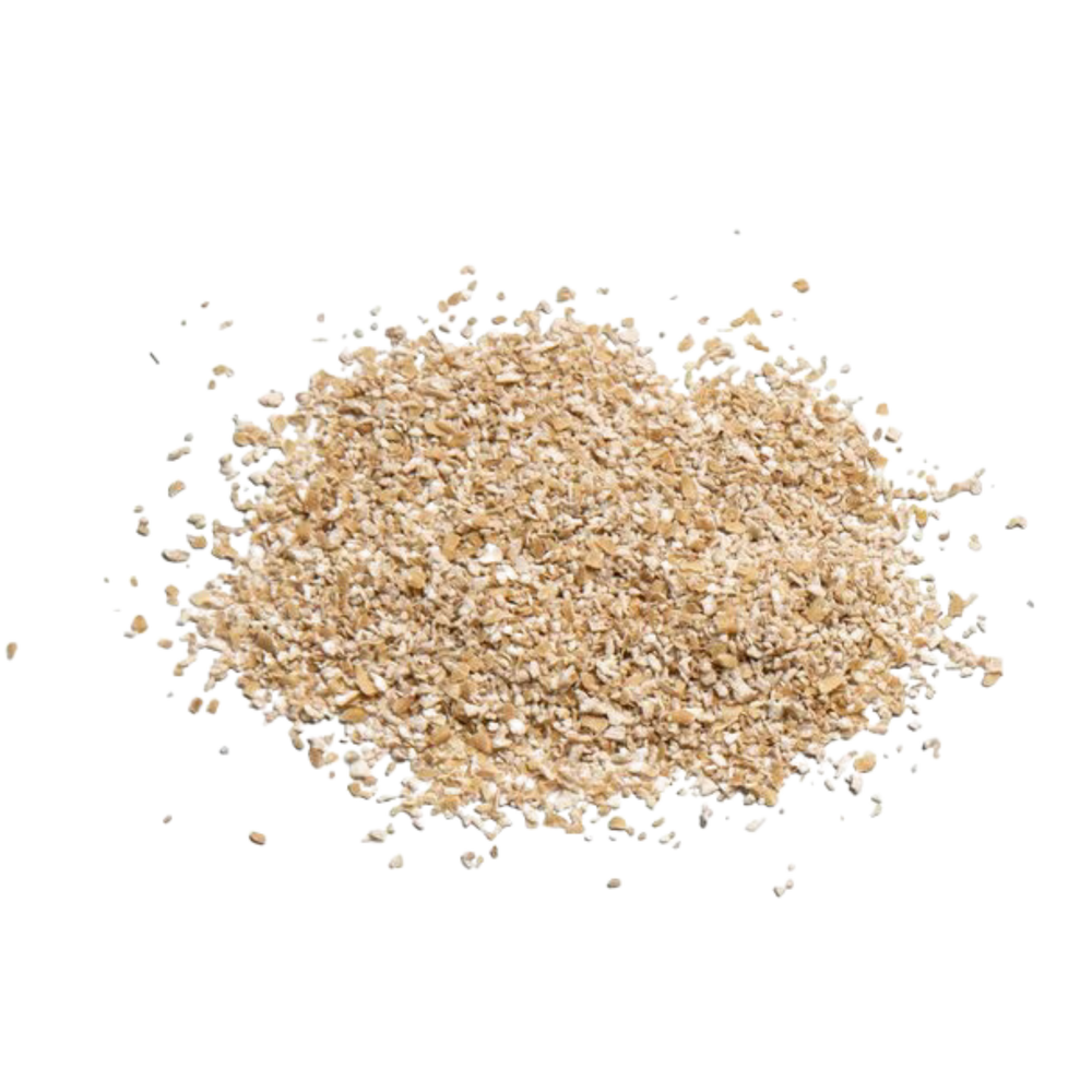 oat_seed