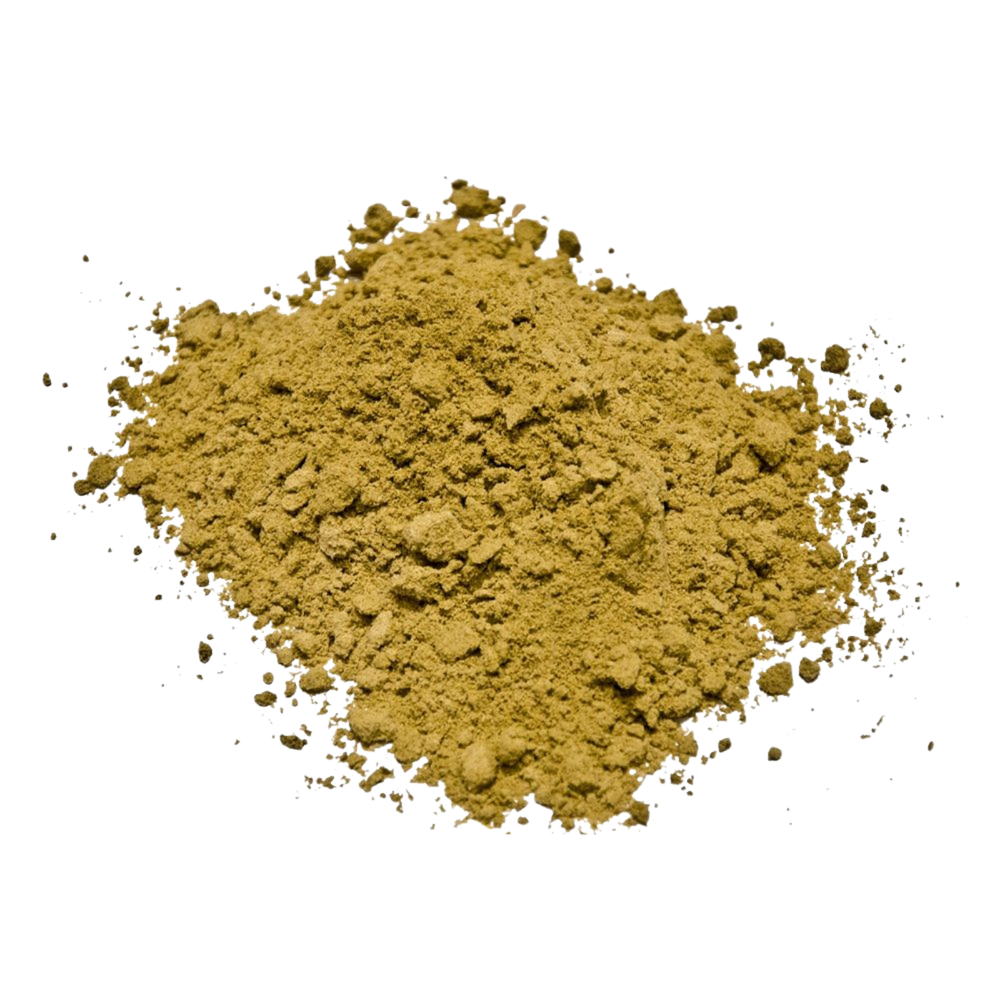 tribulus_terrestris